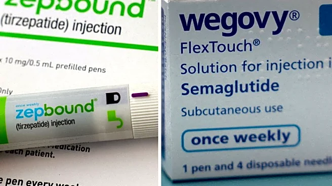 Analysis-Wall Street sees new obesity pills as priced near Wegovy and Zepbound