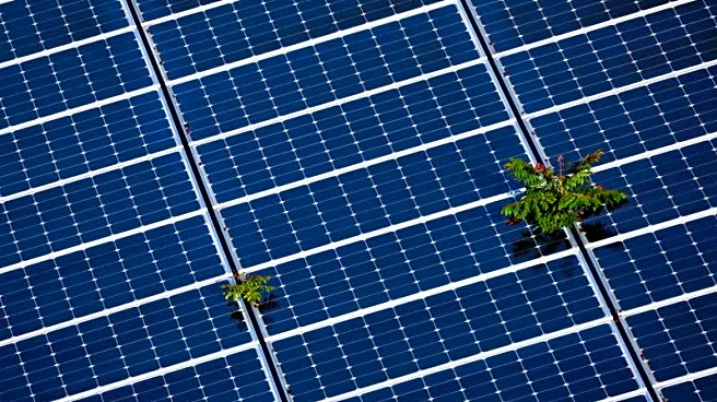 USDA ends programs for solar, wind projects on farms