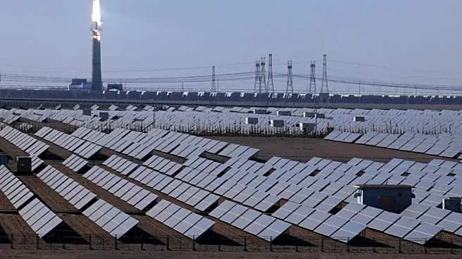Analysis-China's overcapacity crackdown faces litmus test in solar sector