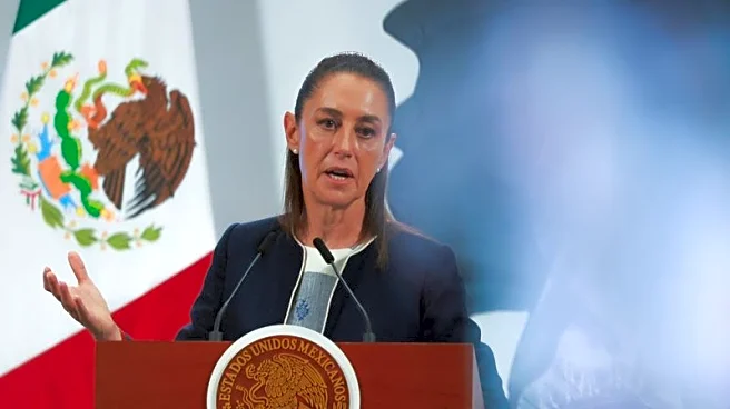 Mexico's Sheinbaum says no agreement exists with DEA on 'Project Portero'