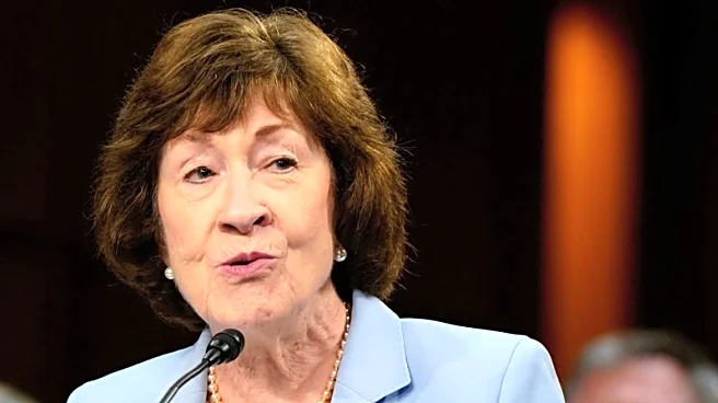 Maine oysterman launches bid to unseat Republican US Senator Susan Collins