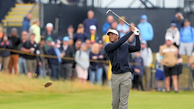 Tiger Woods to lead PGA committee focused on 'significant' change