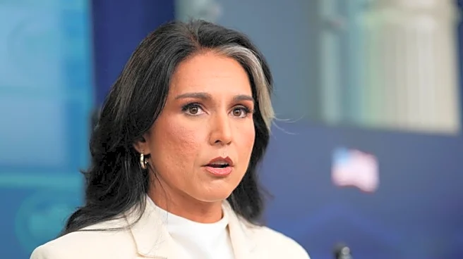Top US spy Gabbard announces staff cut of over 40% from her office