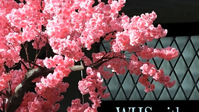 UK's WH Smith cuts profit forecast after accounting blunder, shares sink