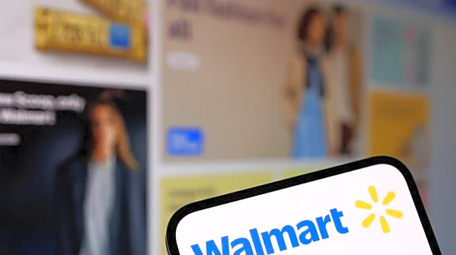 Walmart hikes annual forecast as low price focus draws shoppers