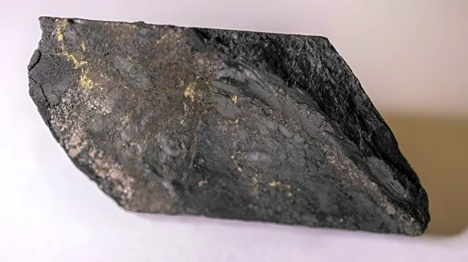 US Defense Department to buy cobalt for up to $500 million