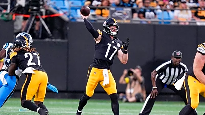 NFL preseason roundup: 4 field goals lift Steelers past Panthers