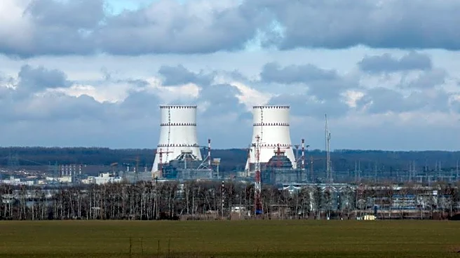 Ukraine drone hits Russian nuclear plant, sparks huge fire at Novatek's Ust-Luga terminal