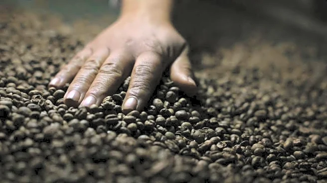 Brazil retail coffee prices could surge amid US tariffs, industry group says