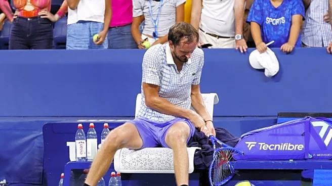 Tennis-Becker says Medvedev needs professional help after US Open 'meltdown'