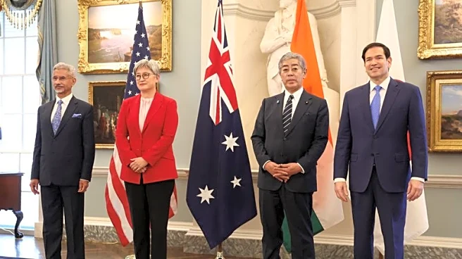 Quad important for critical minerals for India and Japan, Indian foreign ministry says