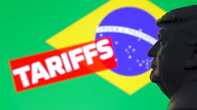Brazil's beef tallow demand seen rising as exports hit by US tariffs