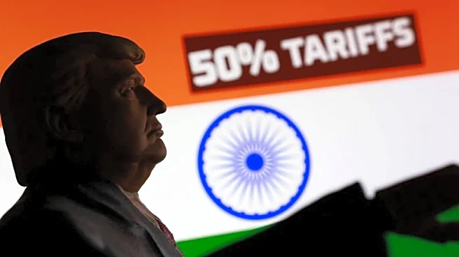 What does doubling of Trump's tariffs mean for India?