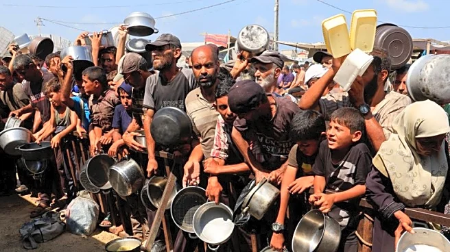 Israel asks global hunger monitor to retract report of famine in Gaza