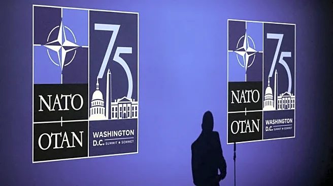 All NATO members hit old spending target, only three meet new goal