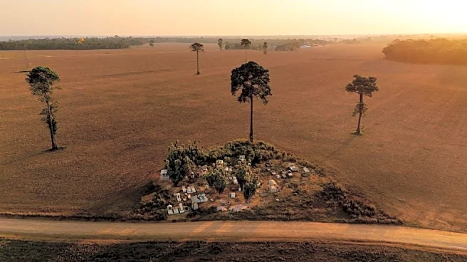 Brazil soy farmers, Bayer clash over seed 'breeding incentives'
