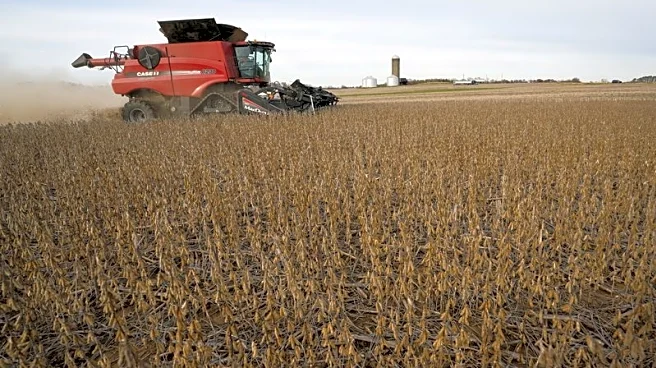 Explainer-What role do farm products have in US-China trade deal?