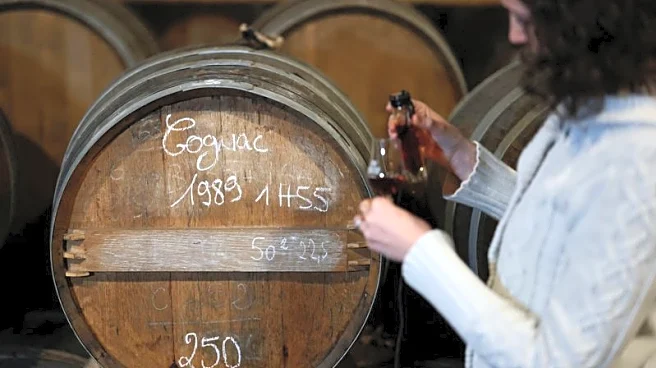 French cognac sales drop 13% as demand for premium ranges slides