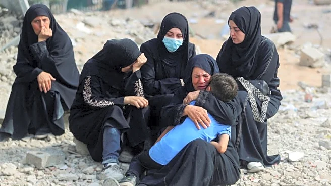 Hundreds of UN staff pressure rights chief to call Gaza a genocide, letter shows