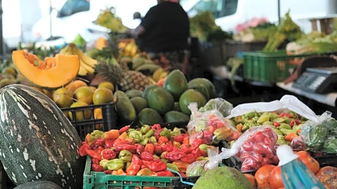 French preliminary inflation at +0.8% in August, slightly below forecast