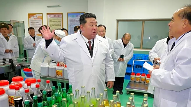 North Korea posts fastest growth in 8 years in 2024, driven by Russia ties, Seoul says