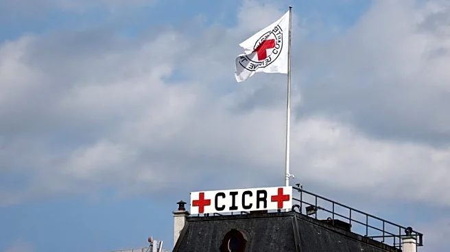Red Cross sees surge in missing people as conflicts multiply