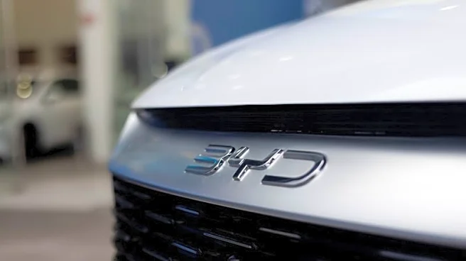 BYD's quarterly profit falls for first time in 3-1/2 years as price wars bite