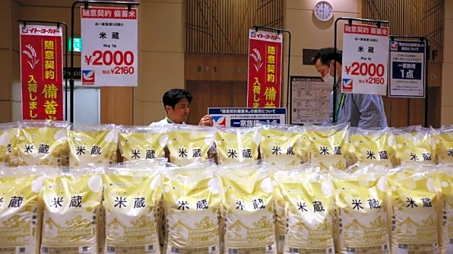 Trump demand for Japan to buy more US rice snagged trade talks, Nikkei says