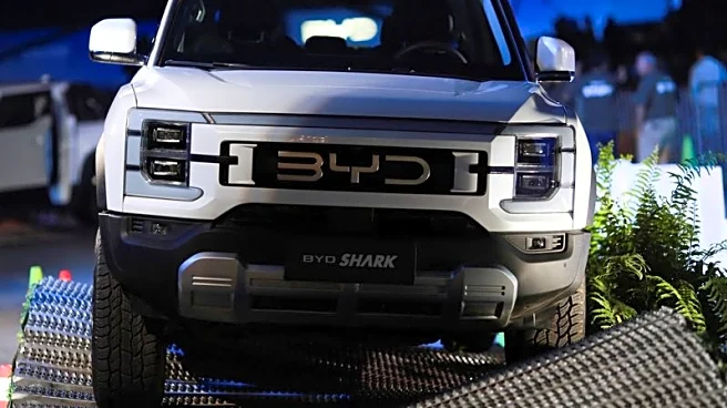 BYD records consecutive monthly production drops for first time since 2020