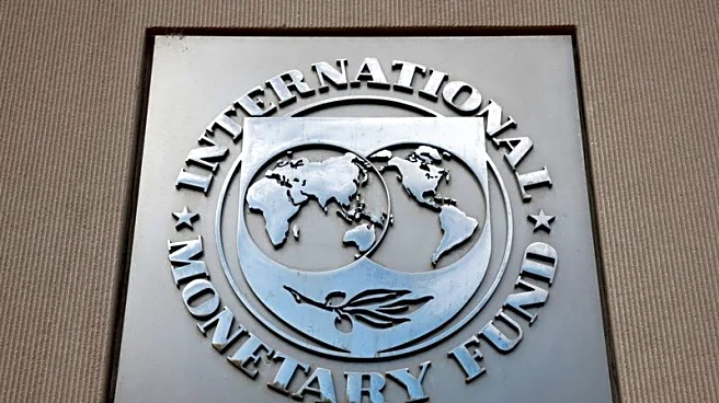Exclusive-US considering White House adviser Yared for IMF post, sources say