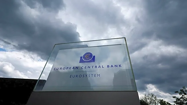 Loss of Fed independence would push up borrowing costs, set off turmoil, ECB's Schnabel says