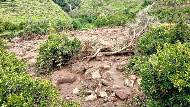 More than 1,000 killed as landslide wipes out Sudanese village