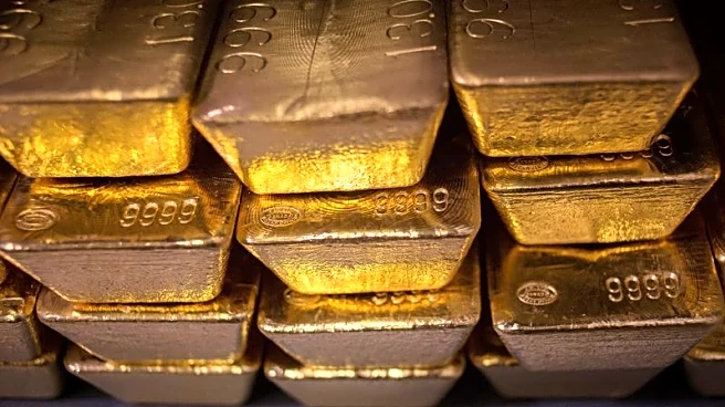 Explainer-Gold's record-breaking rally: who's keeping it going?