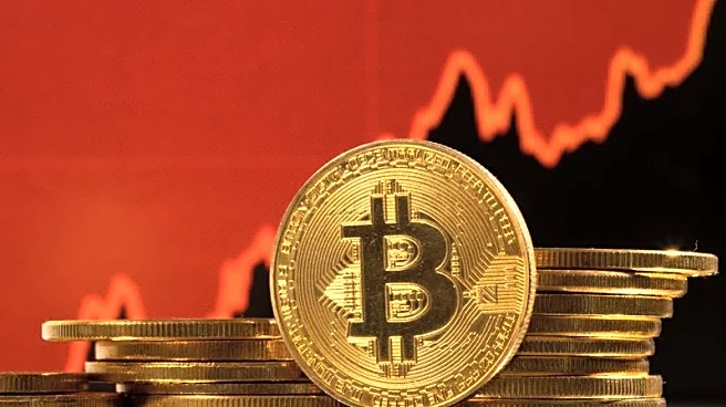 Winklevoss twins-backed bitcoin treasury firm to list in Amsterdam