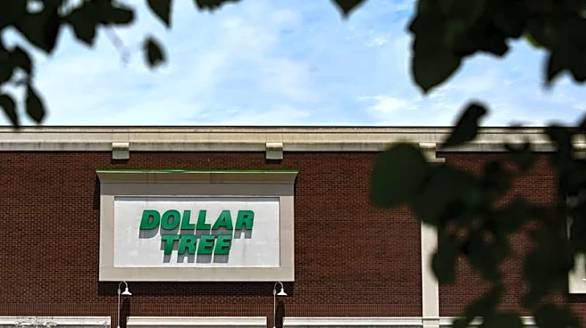 Dollar Tree raises annual targets on steady demand for cheaper goods