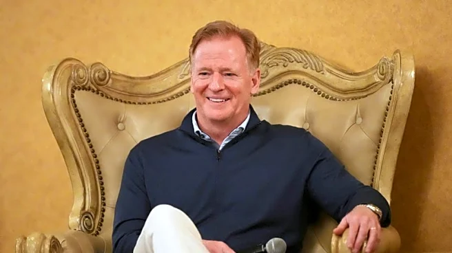 Roger Goodell on Taylor Swift performing at Super Bowl: 'It's a maybe'