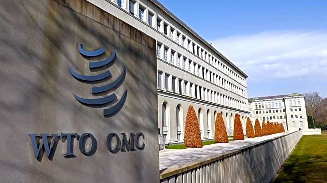White House drops World Trade Organization from list of funding cuts