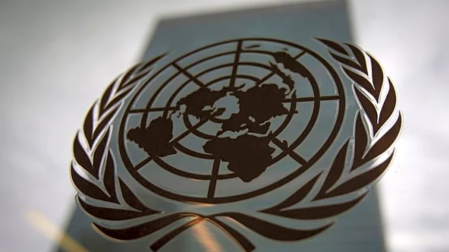 UN body finds US and UAE responsible for Afghan refugee's arbitrary detention