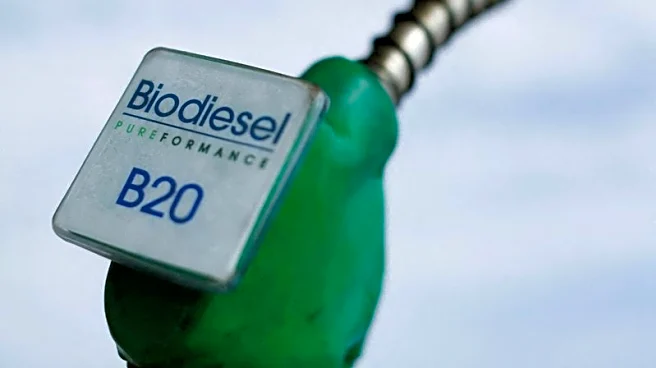 US biodiesel and renewable diesel imports slump after changes to tax credits