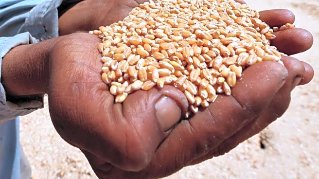 World food prices at more than two-year high, FAO says