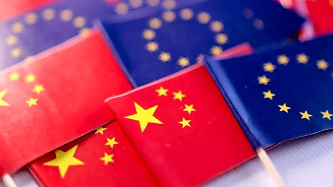 Factbox-China's probes on EU products following EV tariffs