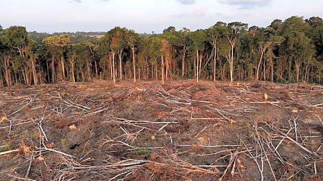 Food grocers urge grain traders to uphold Brazil's soy moratorium initiative