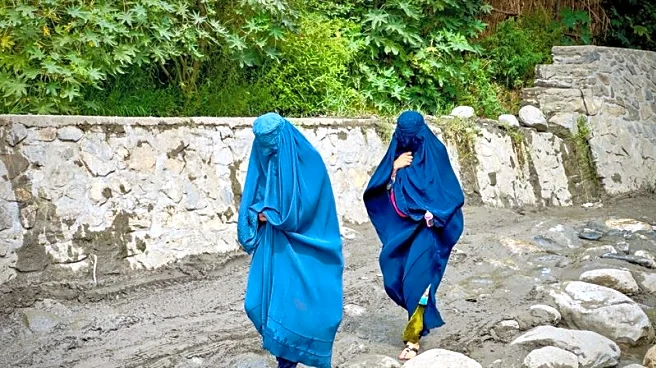 WHO asks Taliban to lift female aid worker restrictions following earthquakes