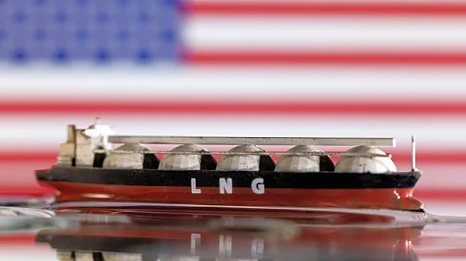 Exclusive-Japan hires Wood Mackenzie to assess Trump-backed Alaska LNG project, sources say