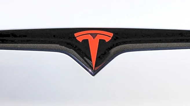 Exclusive-Tesla market share in US drops to lowest since 2017 as competition heats up