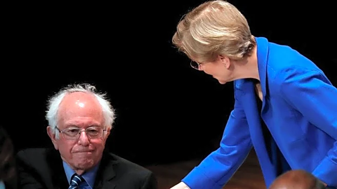 US senators Warren, Sanders urge big banks to boost loans instead of dividends