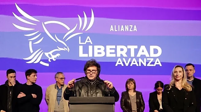Analysis-Argentina's Milei must look to alliances after electoral defeat