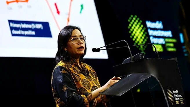 Indonesian finance minister's removal unnerves investors, bumpy road ahead