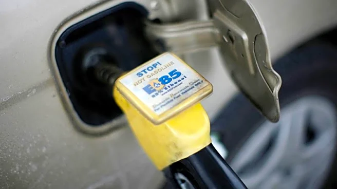 Refinery-state senators look to block Trump from shifting renewable fuel obligation
