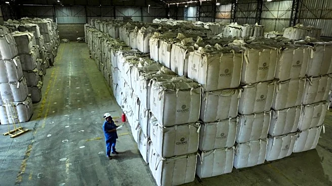 Exporting Brazilian coffee beans to US via third countries not an option, industry says